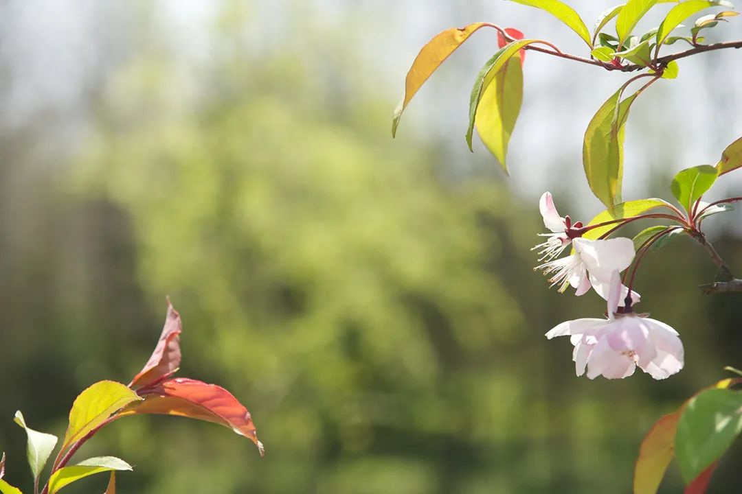 1679362121349290.png 图片2.png